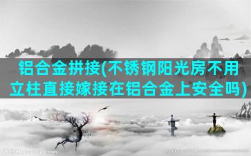 铝合金拼接(不锈钢阳光房不用立柱直接嫁接在铝合金上安全吗)