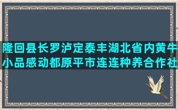 隆回县长罗泸定泰丰湖北省内黄牛小品感动都原平市连连种养合作社