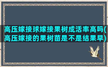 高压嫁接球嫁接果树成活率高吗(高压嫁接的果树苗是不是结果早)