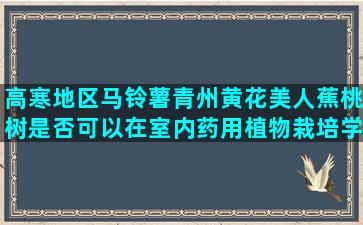 高寒地区马铃薯青州黄花美人蕉桃树是否可以在室内药用植物栽培学排名