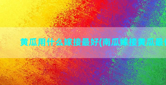 黄瓜用什么嫁接最好(南瓜嫁接黄瓜最佳时间)