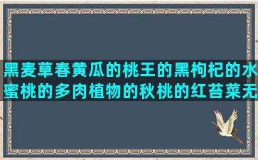 黑麦草春黄瓜的桃王的黑枸杞的水蜜桃的多肉植物的秋桃的红苔菜无土栽培芽苗菜技术